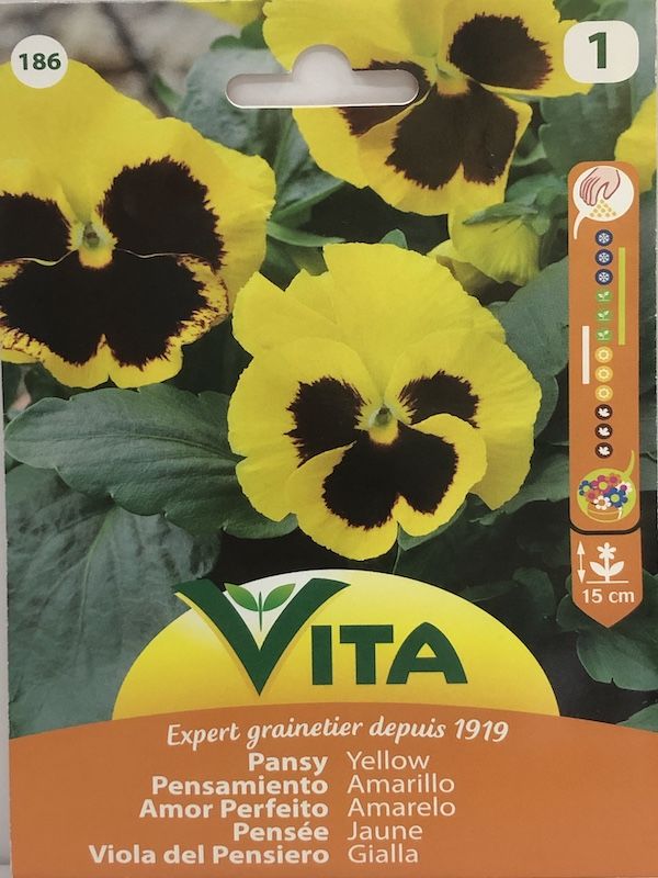 PENSAMIENTO AMARILLO1