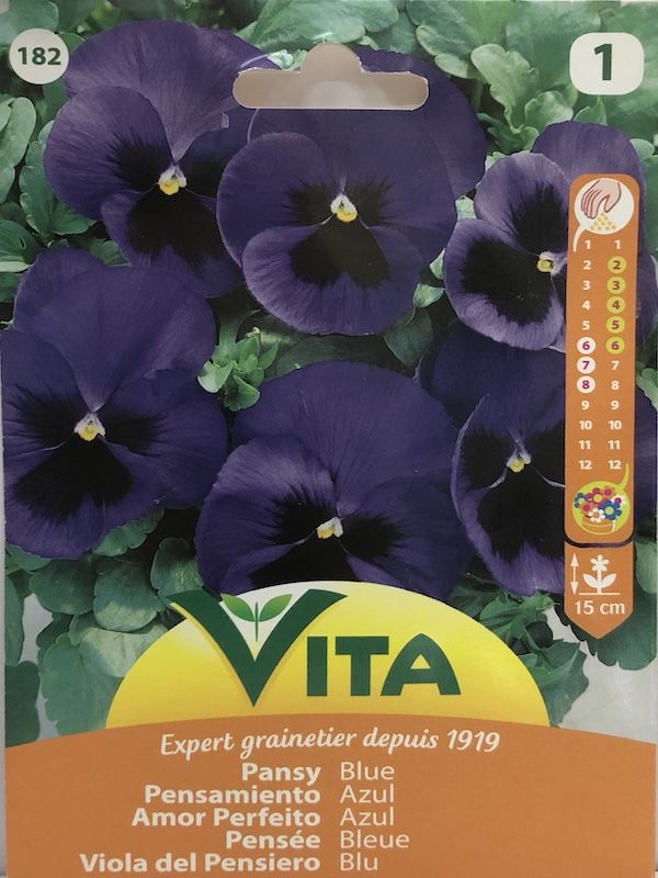 PENSAMIENTO DE FLOR GR. AZUL1