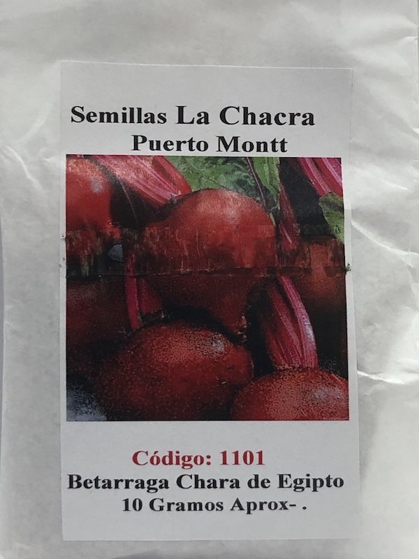 Betarraga Chata de Egipto 10 Gramos1