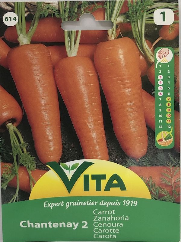 ZANAHORIA CHANTENAY 5 GRAMOS1