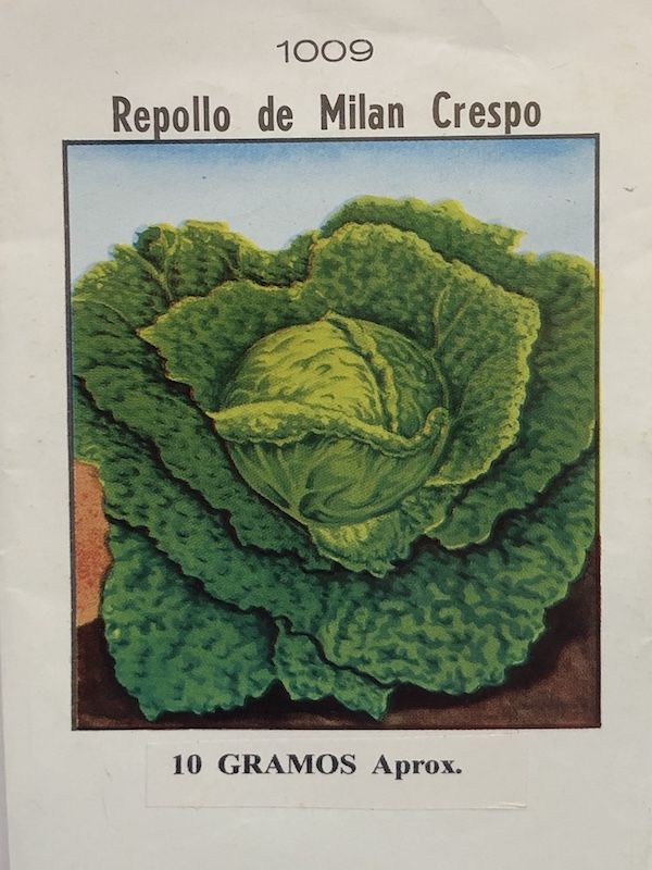 Repollo Milán-Vertus 10 Gramos1