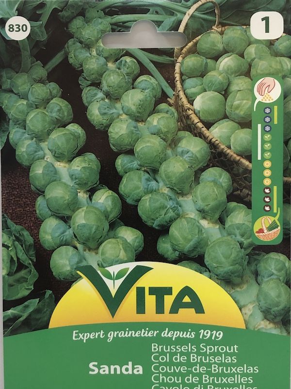 Repollo Bruselas  2.5 Gramos1