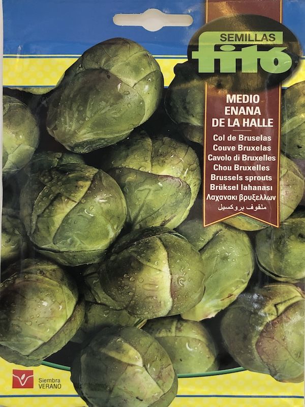 COL BRUSELAS MEDIO ENANA DE LA HALLE 8 GRAMOS1