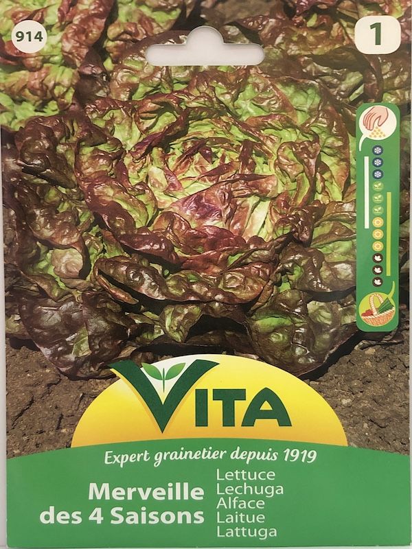 LECHUGA MARAVILLA 4 ESTACIONES 3 GRAMOS1