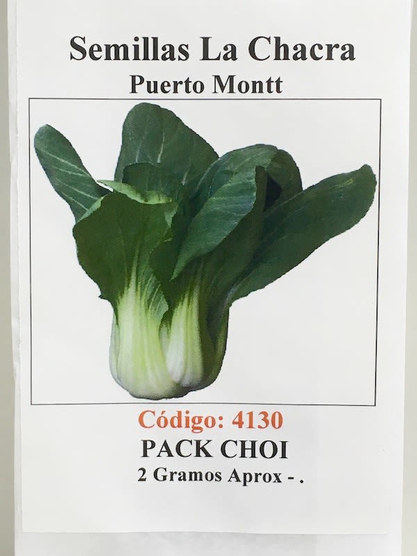 Pack-Choi Verde1
