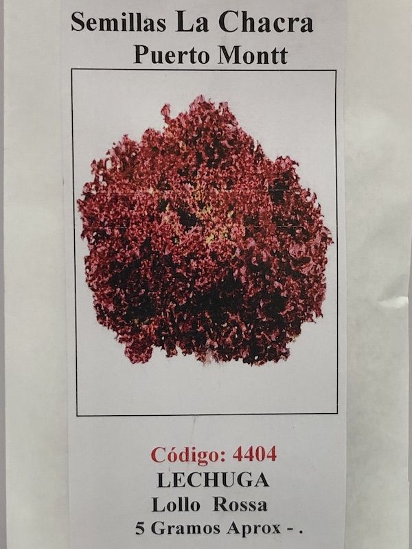 LECHUGA LOLLO ROSA 5 GRAMOS.1