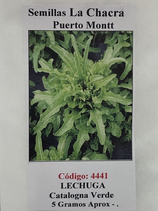 Lechuga Catalogna Verde 5 Gramos1