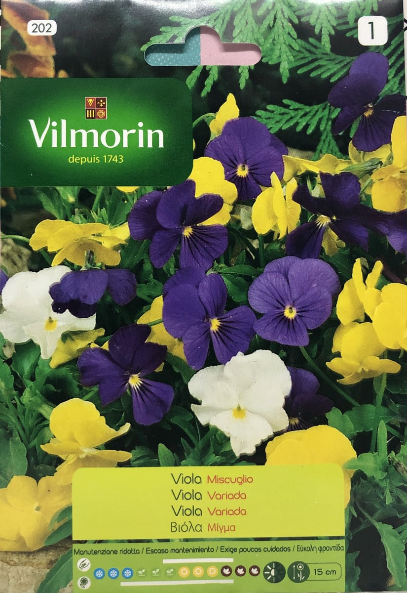 Viola Colores Variados1