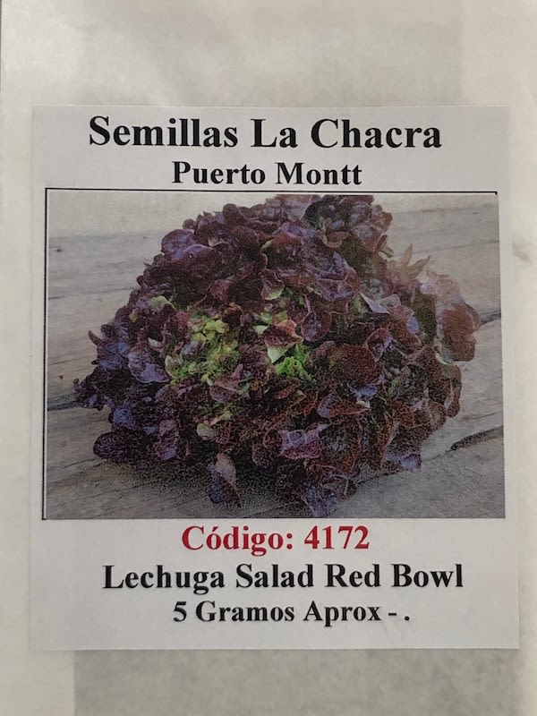 Lechuga Red Salad Bowl 5 Gramos1