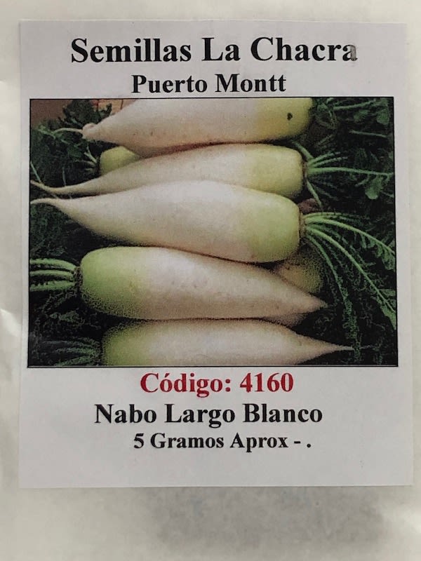 Nabo Blanco Largo1