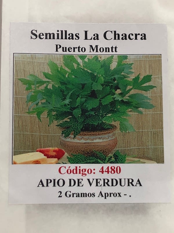 Apio de Verdura1