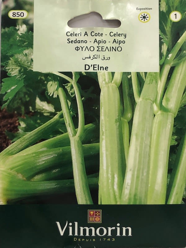 APIO GIGANTE DE ROMAGNA.  2 Gramos1