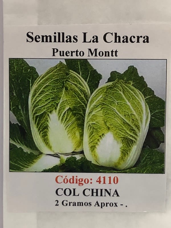 Col China ( Bok Choy )1