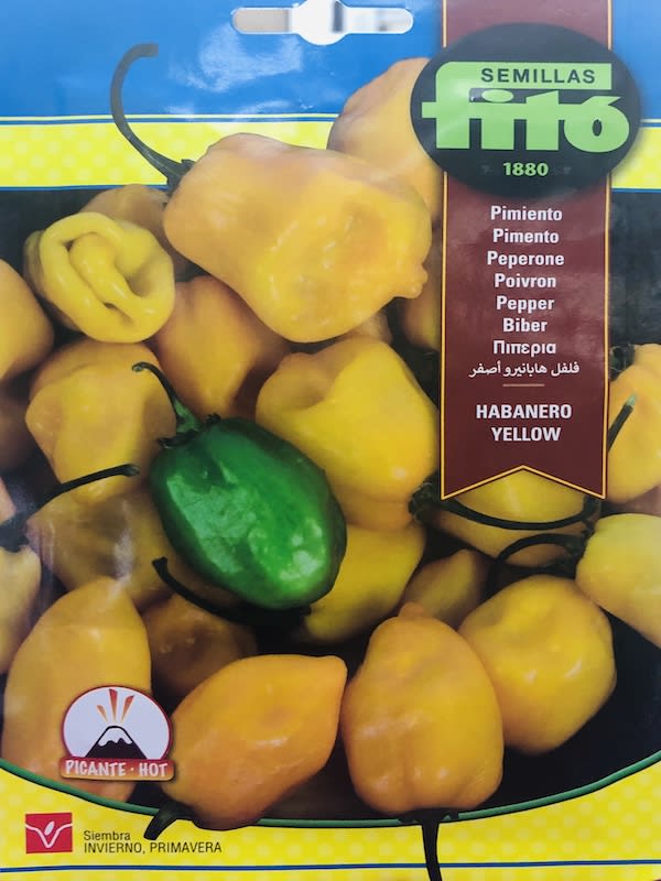 Ají Pimiento Habanero Amarillo1
