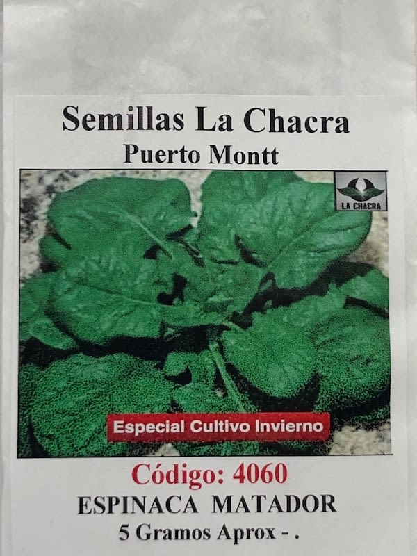 Espinaca Matador Invierno1