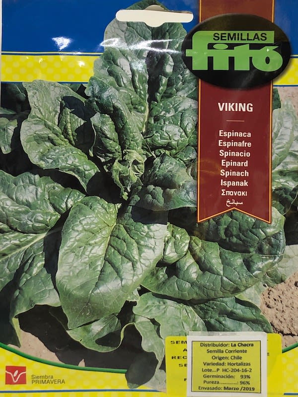 ESPINACA VIKING DE VERANO 20 GRAMOS1