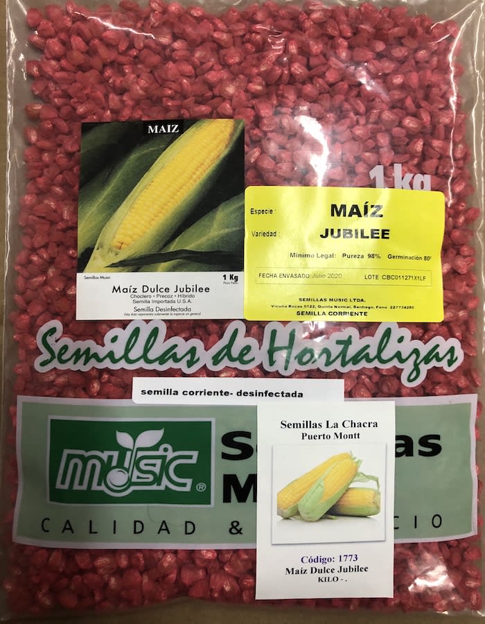 Maíz Dulce Jubilee Kilo1