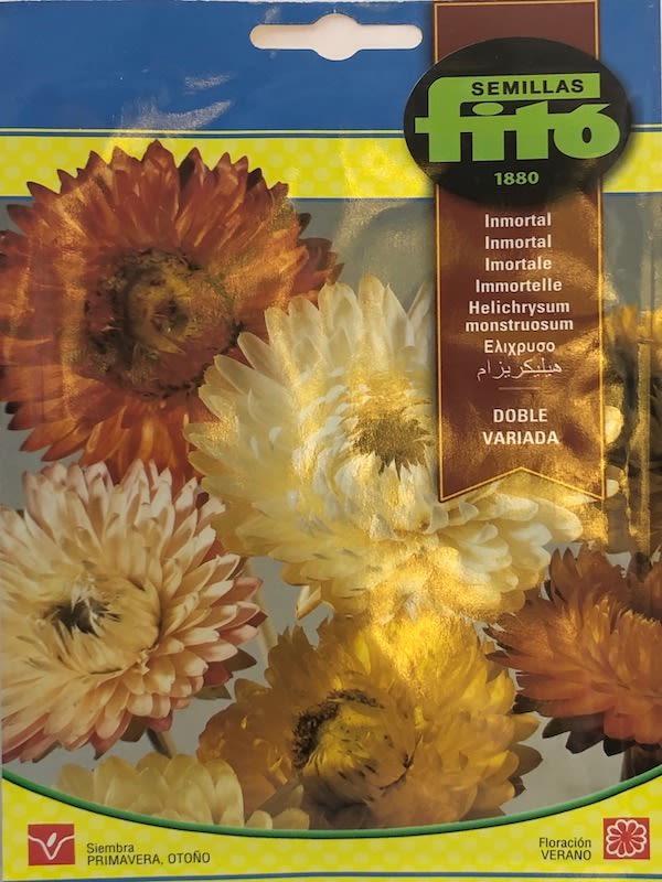 SIEMPREVIVA. INMORTAL - FLOR DE PAPEL1