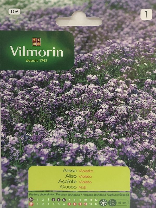 ALISO VIOLETA (104 I)1
