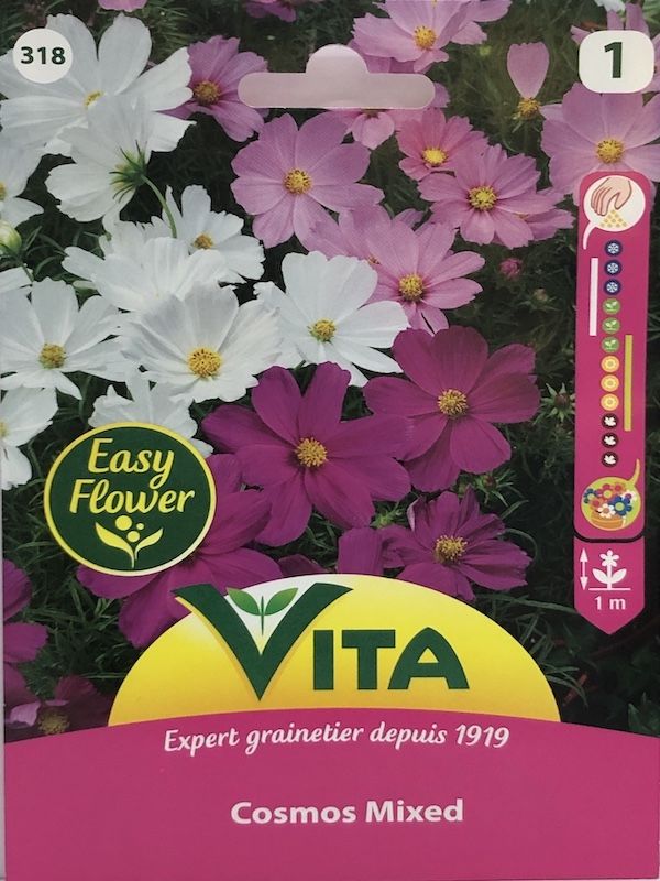 COSMOS COLORES MIXTOS1