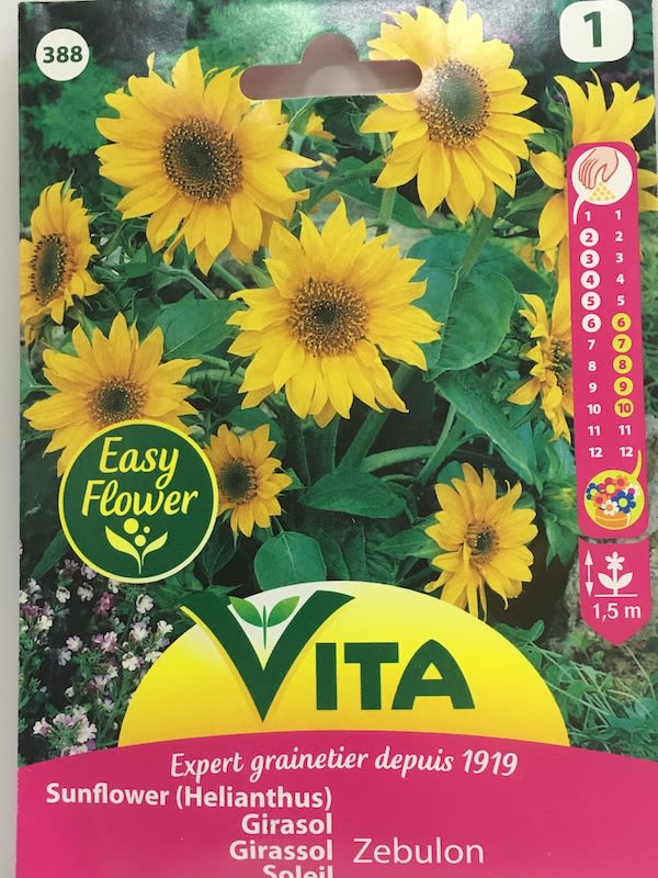 GIRASOL ZEBULÓN 1,5 mt.1