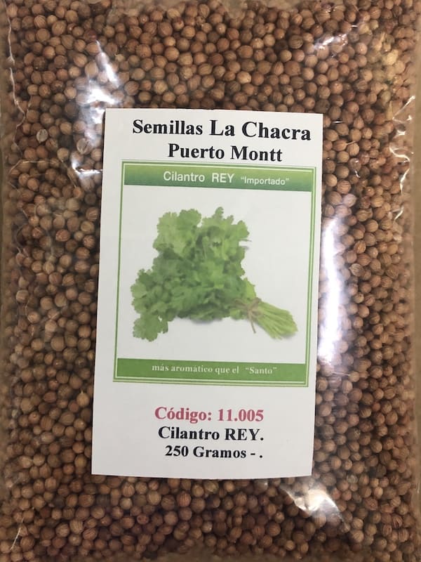 Cilantro Rey ( El más Aromático) 250 GRAMOS1