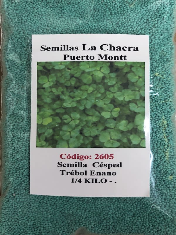 Trébol Enano 250 Gramos1