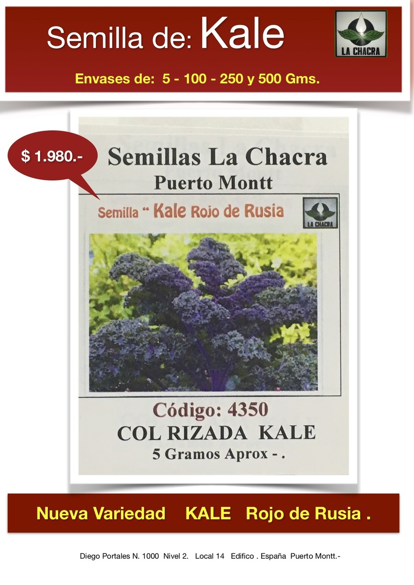Kale Rojo de Rusia 5 Gramos1
