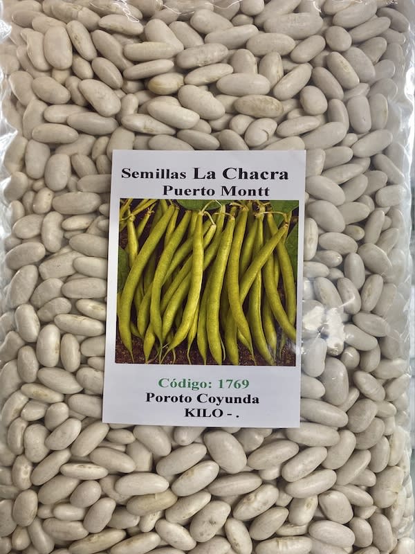 Poroto Coyunda Kilo1