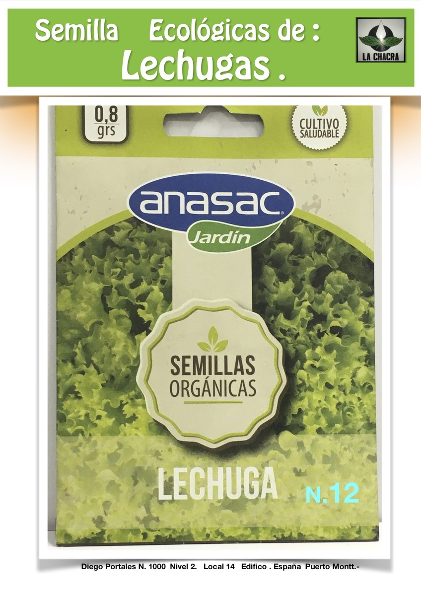 LECHUGA Lollo Bionda Orgánica1