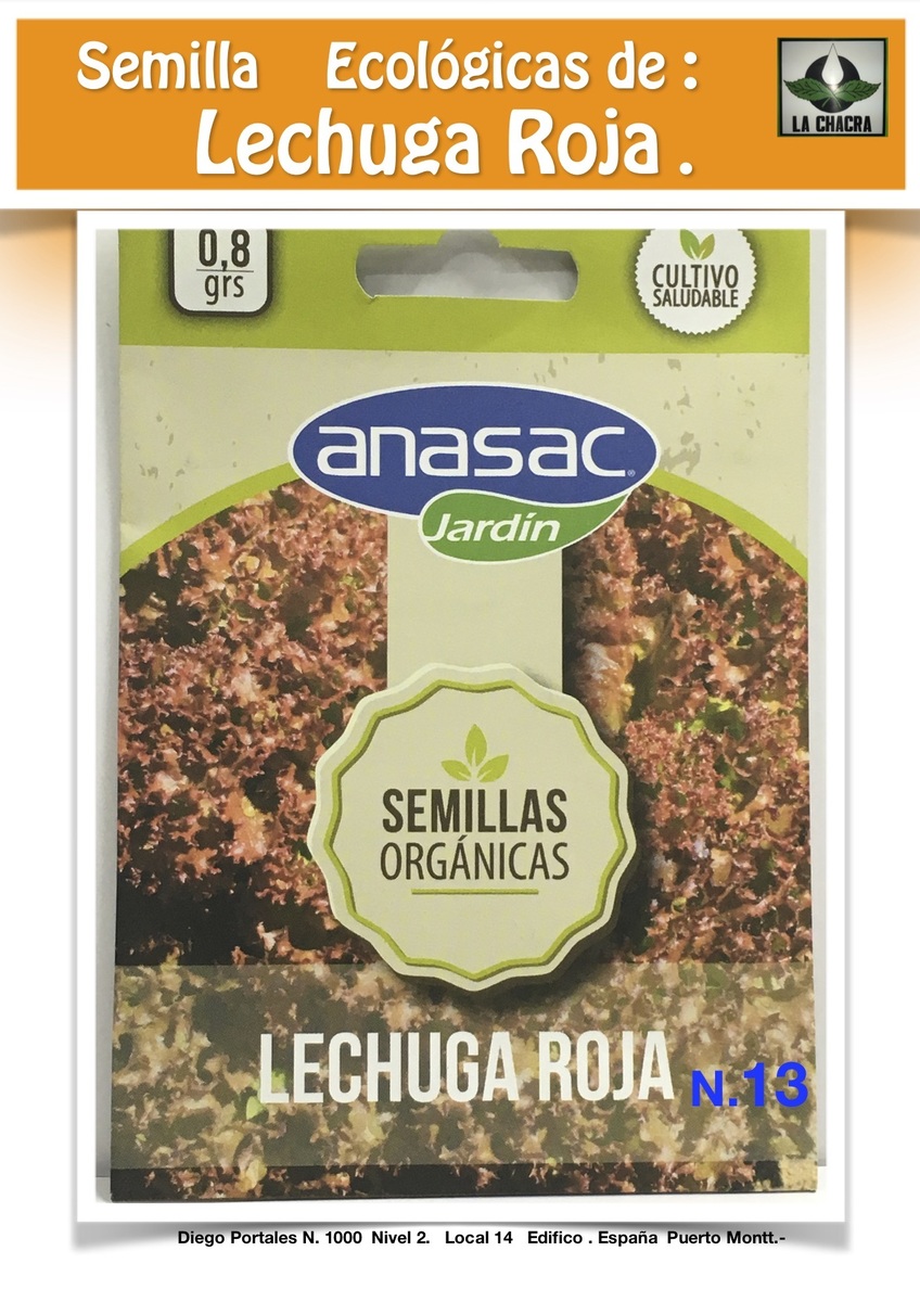 LECHUGA Lollo Rossa Orgánica1