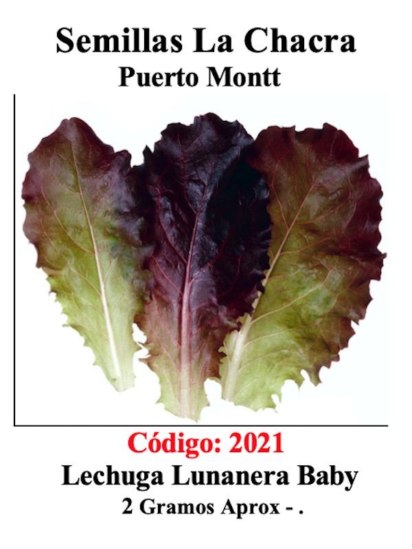 LECHUGA LUNANERA BABY1