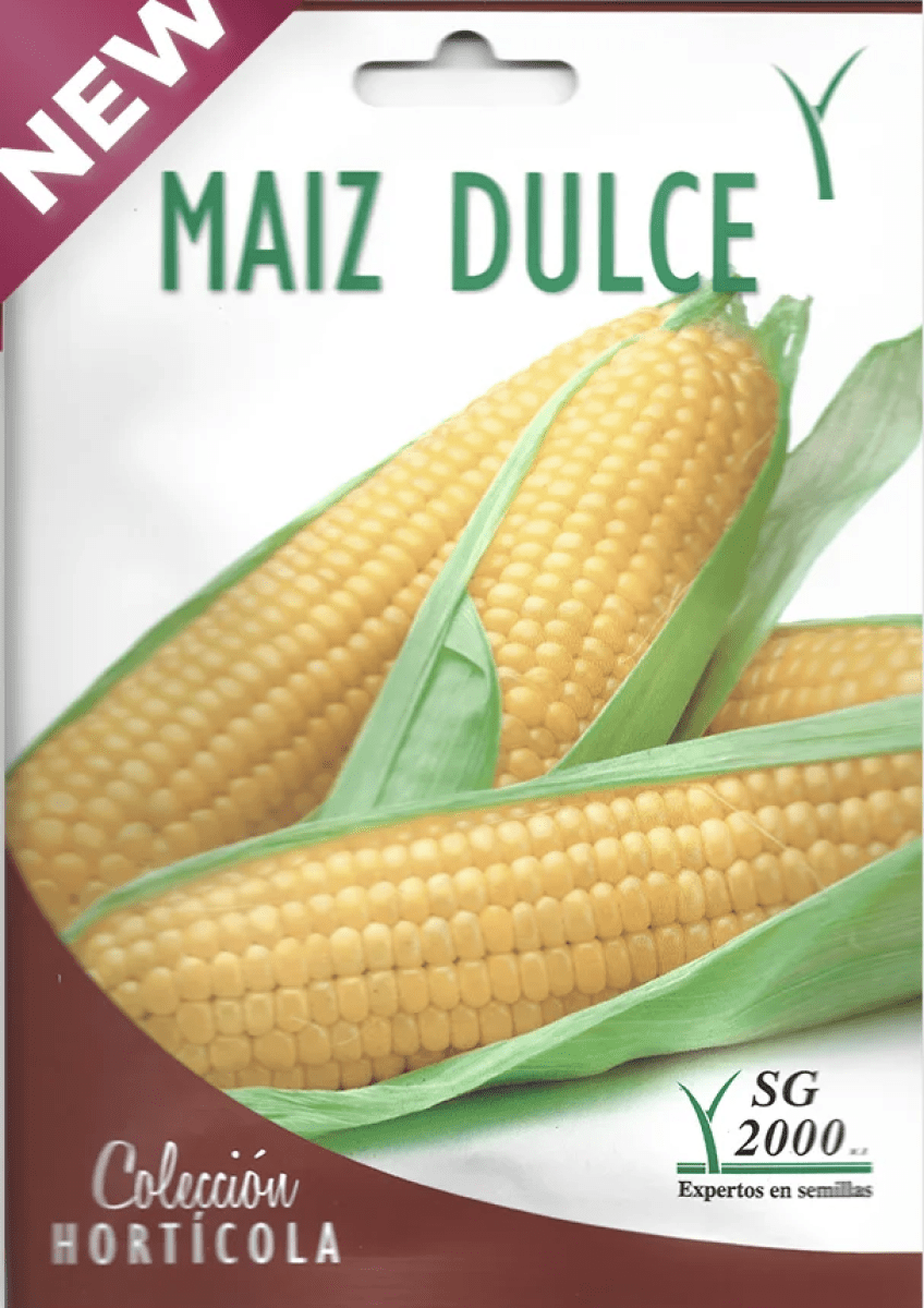 Maíz Híbrido dulce de Mesa.1