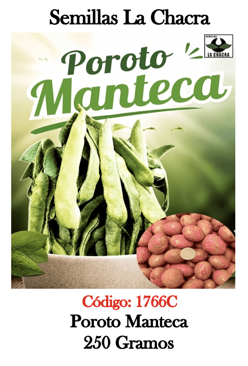 Poroto Manteca Verde. 250 Gramos1