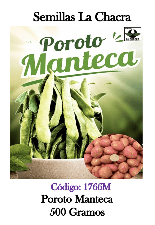Poroto Verde Manteca 500 Gramos1