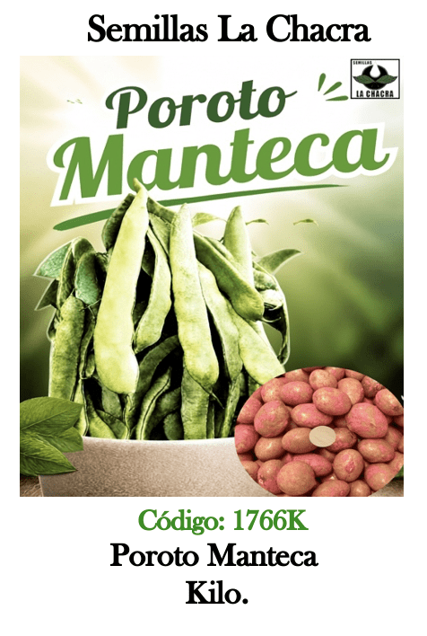 Poroto Verde Manteca Kilo.1