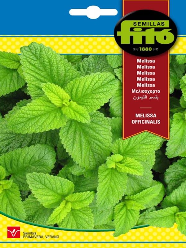 MELISSA OFFICINALIS1