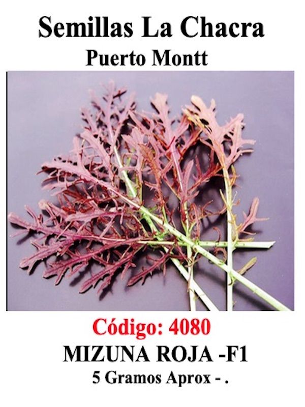 Mizuna Roja Sobre1