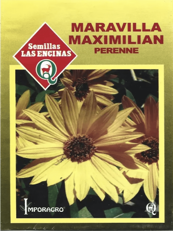 Girasol, Maravilla Maximilian Perenne. Sobre 1 Gramo1