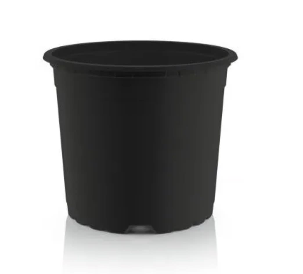 Macetero Termoformado COLOR: NEGRO VCG-151