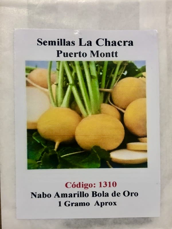 Nabo Amarillo Bola de Oro1