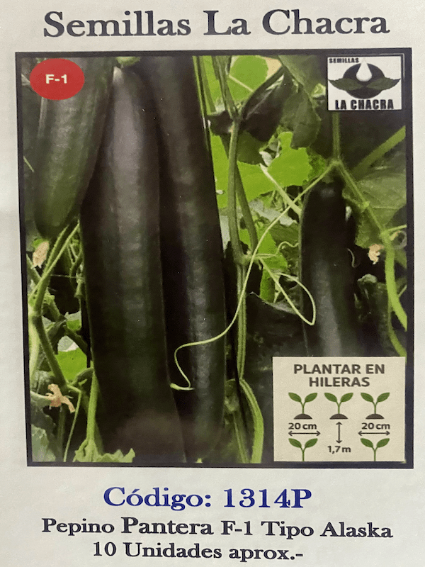 Pepino  Partenocárpico  Pantera F-11