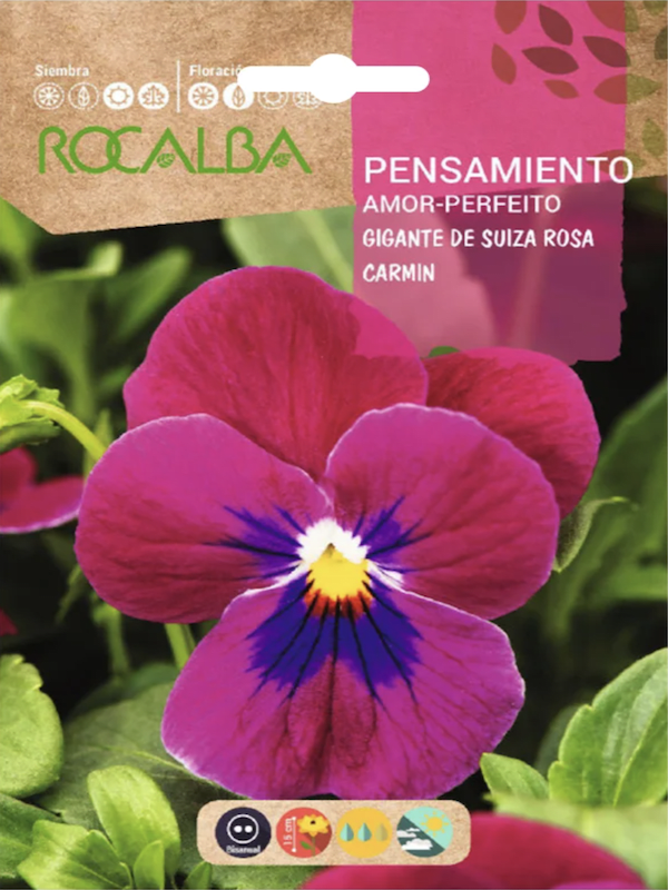PENSAMIENTO Gigante Rosa Carmín1