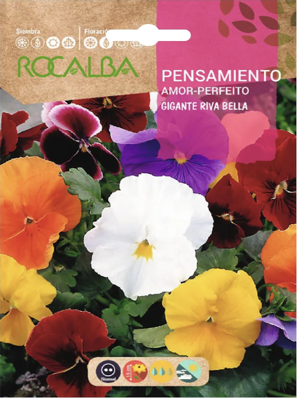 PENSAMIENTO Gigante Riva Bella1