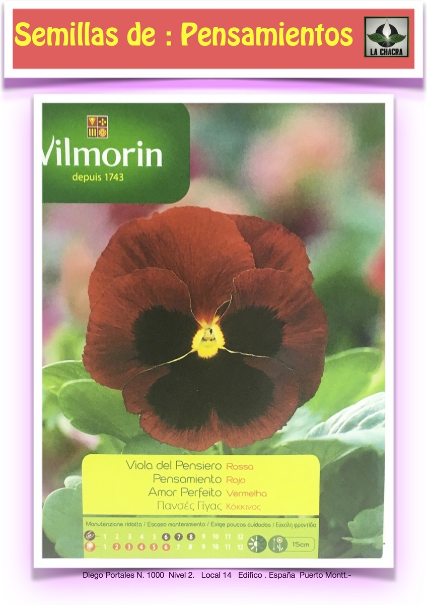 PENSAMIENTO GRANDE ROJO1