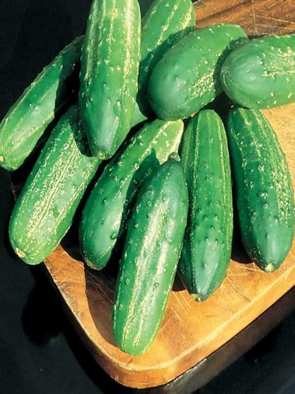 Pepino National Pickling. Sobre 25 Gramos3