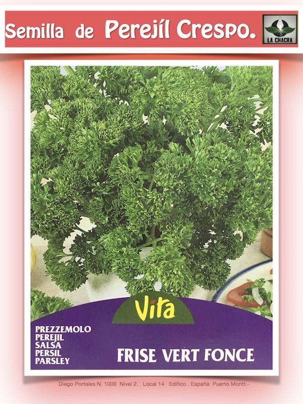 PEREJIL RIZADO VITA 4 GRAMOS1