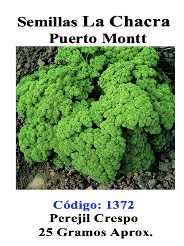 Perejil  Rizado Crespo  25 Gramos1