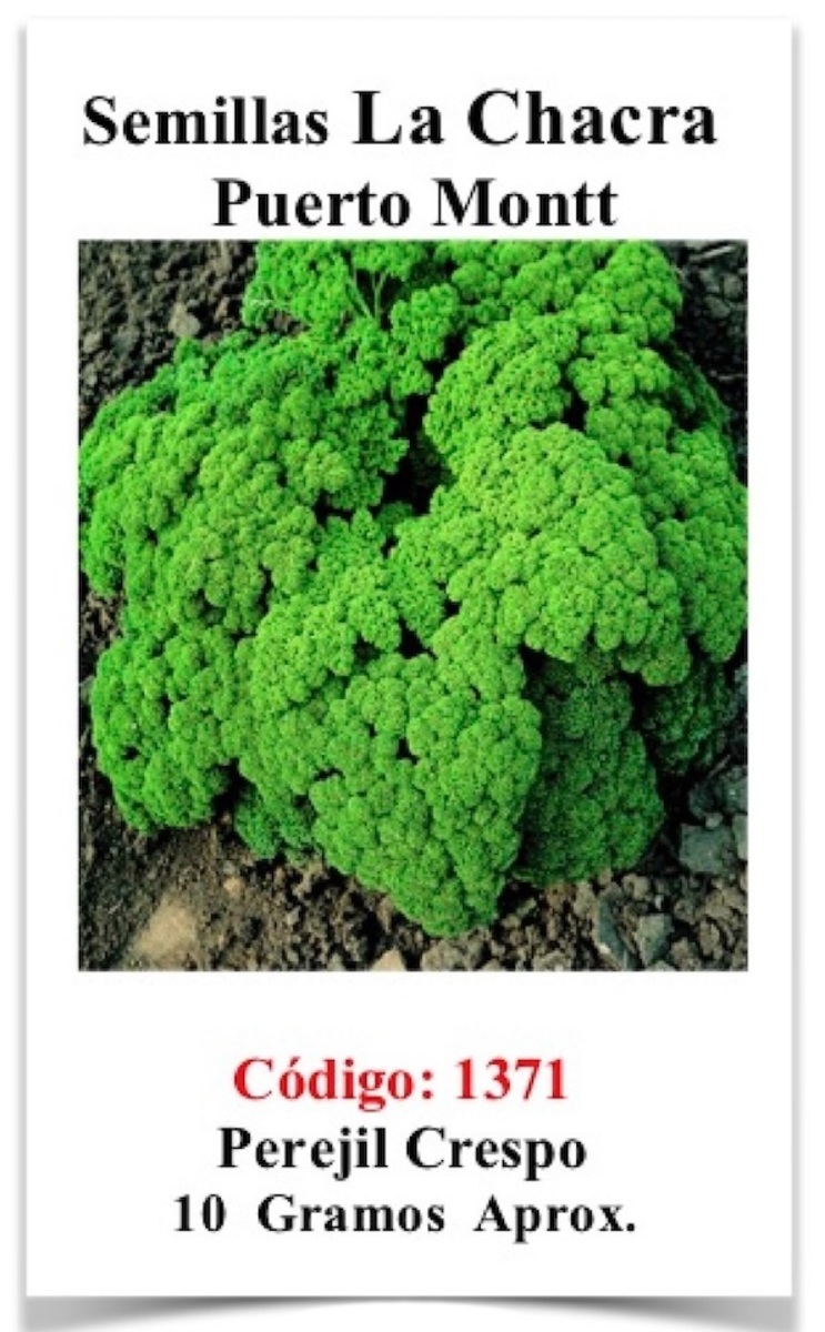 Perejil Rizado Crespo 10 Gramos1