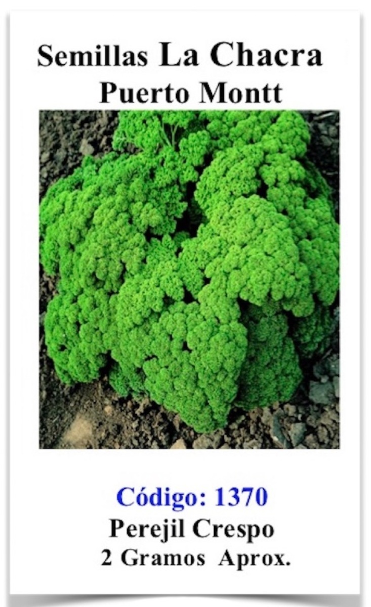 Perejil Crespo1